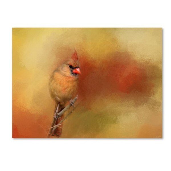 Jai Johnson 'Backyard Jewel' Canvas Art, 35x47, Trademark Fine Art, Mfr#: ALI14251-C3547GG